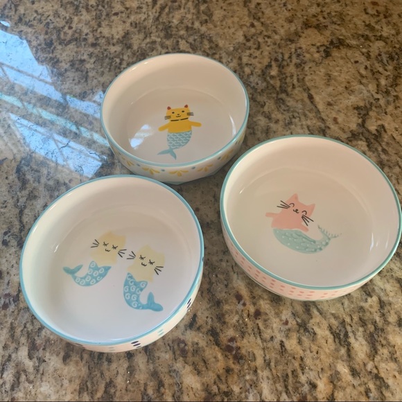Homegoods Other - Set of 3 Ceramic Pet Bowls